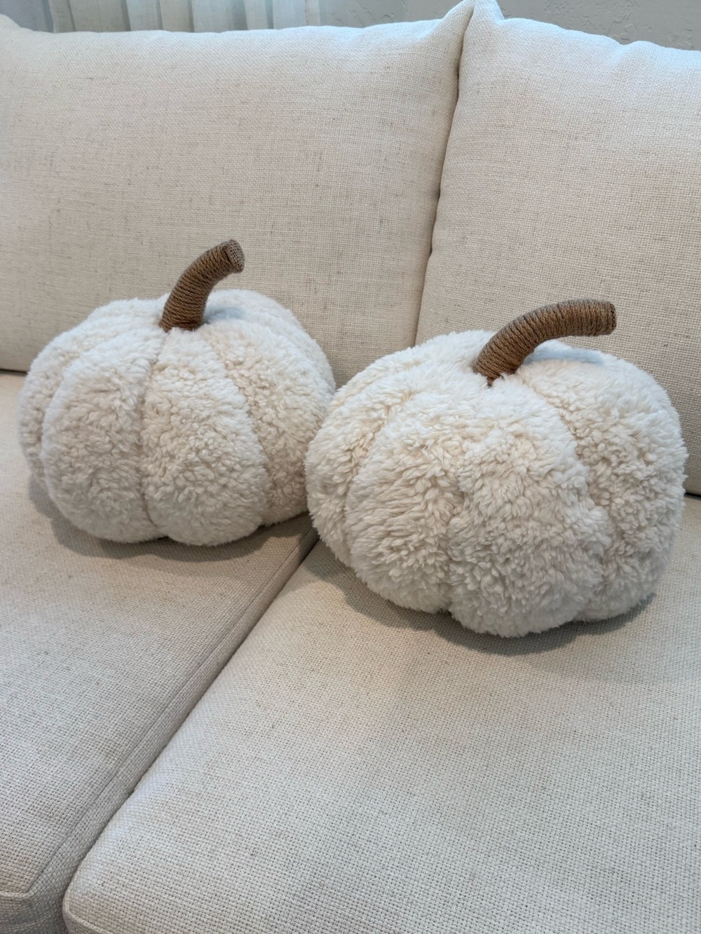 Pottery Barn Set of 2 Ivory Cozy Pumpkin Pillow
